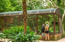 Beach & Mountain ATV Tour & Animal Sanctuary