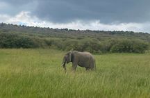 3 Days Masai Mara Budget Private Safari - Classic 4x4 Jeep Tour