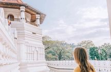 Kandy One Day Tour Temple of the Tooth, Gardens and Culture