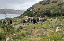 Behind The Scenes + Blue Penguins Pukekura Experience Tour