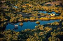 Private Tour of Desert Castles Eastern Jordan with optional Azraq Wetland Visit