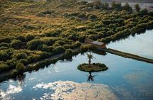 Private Tour of Desert Castles Eastern Jordan with optional Azraq Wetland Visit