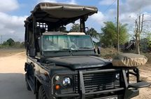 Mikumi Wildlife Safari & Game Drive with Lunch from Dar es salaam