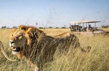 Mikumi Wildlife Safari & Game Drive with Lunch from Dar es salaam