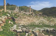 Private Half-Day Pella Tour from Amman
