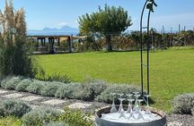 Pompeii Tour and Vesuvius Wine Tasting Day Trip from Naples