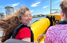 Speedboat 'Tower RIB Blast' from Tower Millennium Pier - 20 minutes