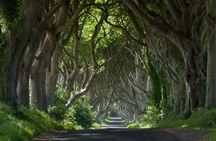 Dublin: Giants Causeway, Dark Hedges, Dunluce and Belfast Titanic