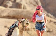 VIP Super Desert Safari Tour in Hurghada | Quad Bike, Jeep & BBQ