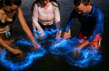 Magic After Dark Bioluminescence Kayak Tour Orlando