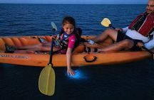 Magic After Dark Bioluminescence Kayak Tour Orlando