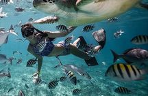 Private 3 Gili Islands Snorkeling Tour from Lombok