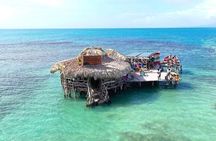 South Coast- YS Falls, Appleton, Black River, Pelican Bar Jamaica