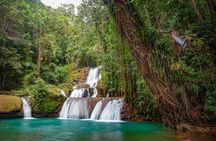 South Coast- YS Falls, Appleton, Black River, Pelican Bar Jamaica