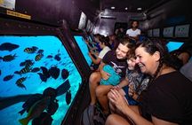Elite Semi Submarine Sea Scope Luxury magawish Island and Pool