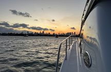 Miami Private 52 ft Boat Tour | Sandbar, Dolphins & Biscayne Bay!