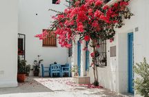 From Valencia: Day Tour to the Algar Springs and Altea