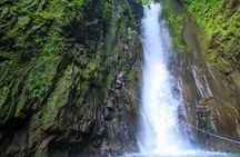 Rainforest Falls Adventure Rappelling and Jumps