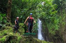 Rainforest Falls Adventure Rappelling and Jumps