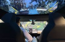 30-Minute Driving Tour: Explore Los Angeles in a Cybertruck