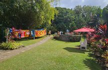 Private Half Island Heritage and Beach Tour