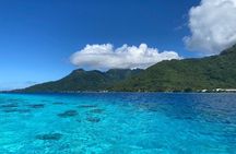 Scuba Diving Baptism in Moorea with Ia Ora Diving