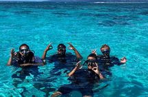 Scuba Diving Baptism in Moorea with Ia Ora Diving