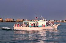 Dolphin Excursions , Sunset Tours and Snorkeling & Shelling Tours