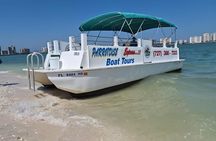Dolphin Excursions , Sunset Tours and Snorkeling & Shelling Tours