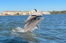 Dolphin Excursions , Sunset Tours and Snorkeling & Shelling Tours