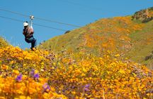 Skull Canyon Zipline Adventure in Corona CA