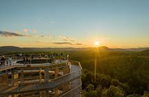 Treetop Observatory and Walk