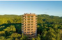 Treetop Observatory and Walk
