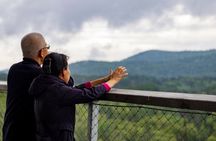 Treetop Observatory and Walk