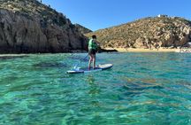 Kayak or Paddle Board & Snorkel to the Arch with Photos included