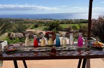 Herbal Tea Tasting Tour at Maui Dragonfruit Farm