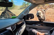 Private Mount Rushmore & Black Hills Tour w/ Former Park Ranger