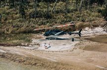 North Islands Tallest Waterfall: 45 Minute Helicopter Tour