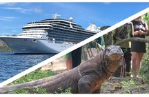 Top Komodo Island Shore Tour for passengers of Cruise Ship