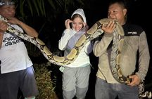 4 DaysTours and Expeditions in the Amazon,Iquitos-Peru
