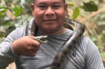 Experience a 4 days expedition in the Amazon,Iquitos-Peru