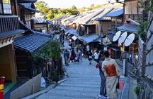 Kyoto tour: 3 Photogenic Sites from Nagoya with Lunch