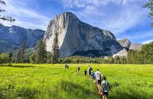 Yosemite Highlights Small Group Tour from Sonora & Groveland