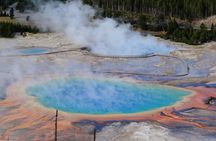 12 VIP Group Yellowstone Classic 1 Day Tour Bozeman Round Trip