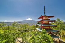 Tokyo: Mt.Fuji & Lake Kawaguchiko 1-Day Bus Tour w/Optional Lunch