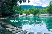 All day Krabi Jungle Tour (Hot Spring Water, Emerald Pool, Tiger Cave Temple)