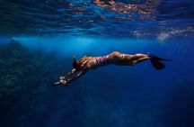 Lanai Snorkel Safari Experience from Maui