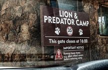 Rhino & Lion Nature Reserve Mini Safari Tour