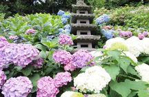 From Tokyo: Kamakura & Enoshima 1-Day Bus Tour