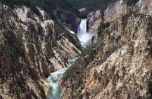 12 VIP Group Yellowstone Classic 1 Day Tour Bozeman Round Trip
